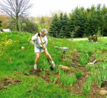 Do you wish to be a gifted gardener?