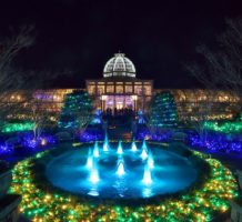 Volunteers power annual light show