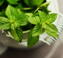 Peppermint can be a cool solution for IBS