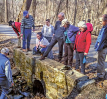 Train to become an environmental leader