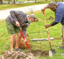 The greening of Baltimore City