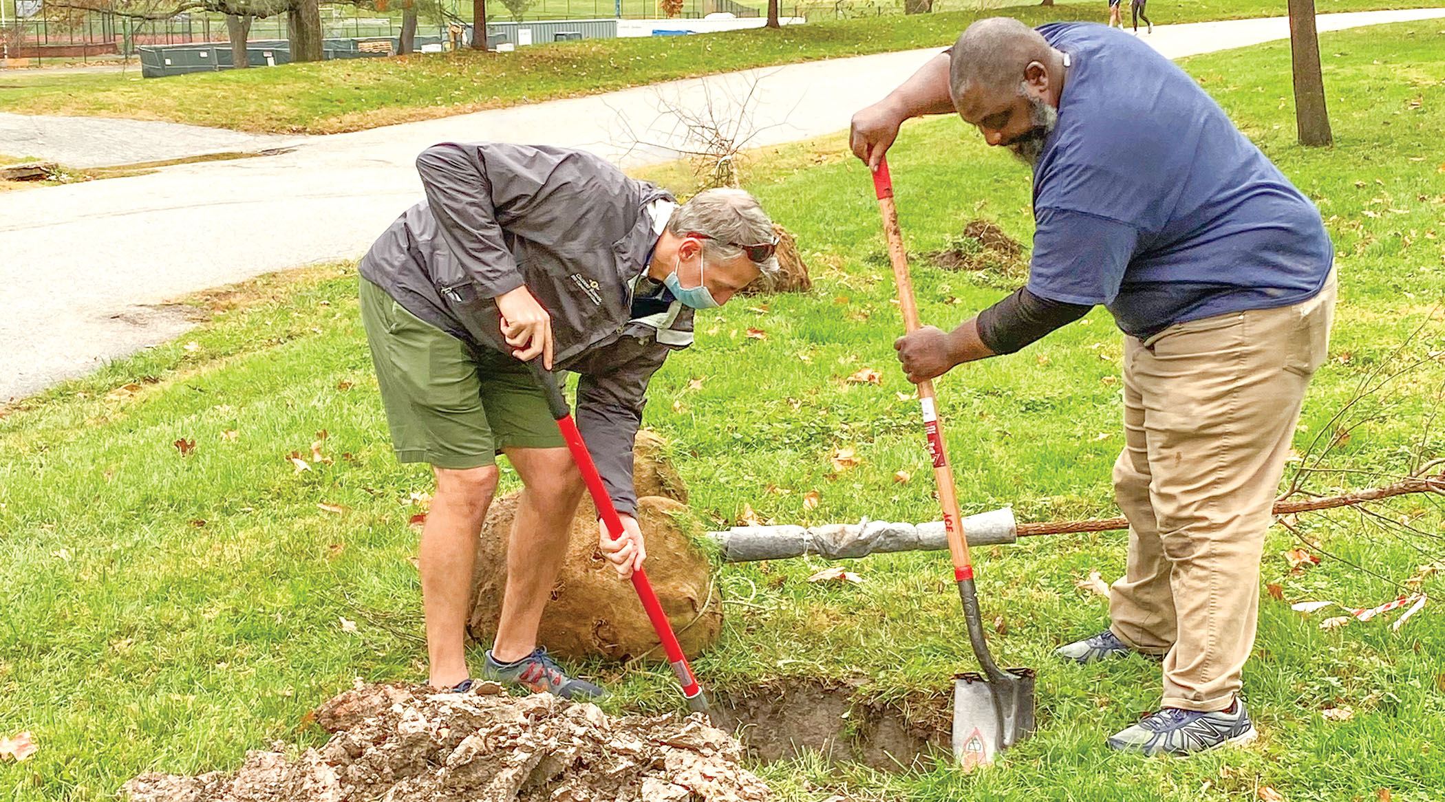 the-greening-of-baltimore-city-beacon