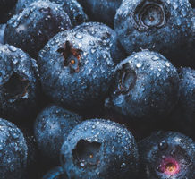 Blueberries, a native fruit and superfood