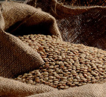 Tasty lentils contain fiber, protein, vitamins