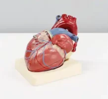 Understanding heart failure, pacemakers