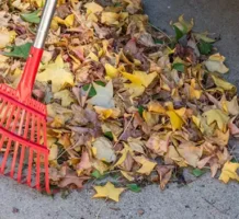 Consider an electric leaf blower (or rake)