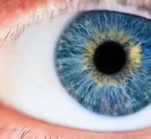 Eyes may be a window into aging brains