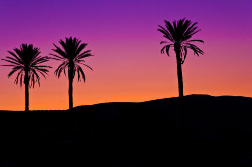 Sunset in the Judean Desert — Brad Balfour