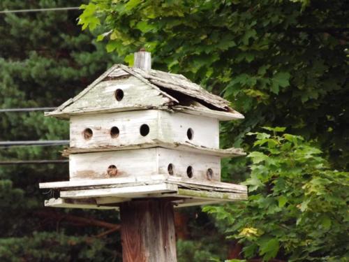 Though the Roof May Leak, It's Home — Barbara Parks-Lee